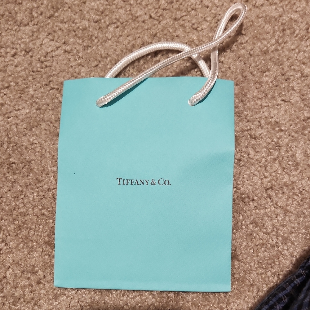 Tiffany & Co. Small Blue Shopping Bag
